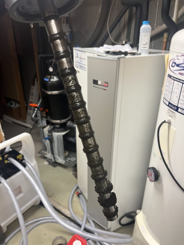 IMG 4046 - True Vision